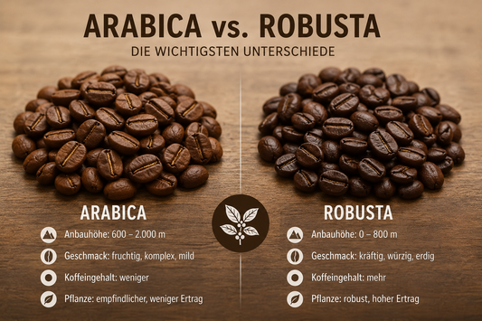 Arabica oder Robusta – die wichtigsten Unterschiede einfach erklärt
