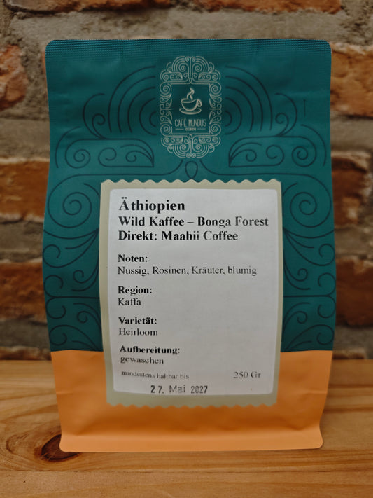 Äthiopien Wild Kaffee - Bonga Forest Direkt: Maahii Coffee